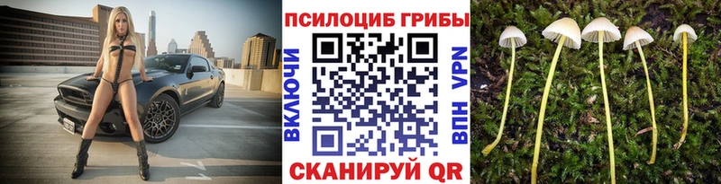Галлюциногенные грибы Cubensis  Трубчевск 