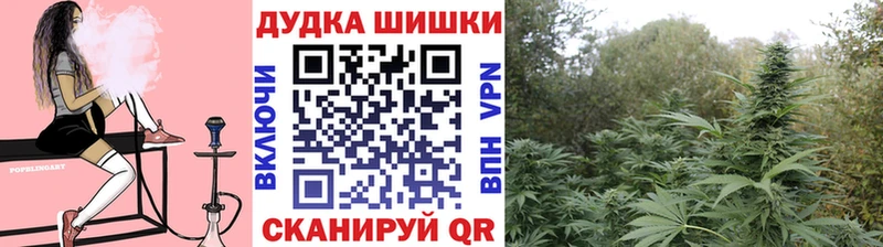 Бошки Шишки конопля  цены наркотик  Трубчевск 